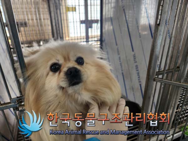 한국동물구조관리협회_441560202500208